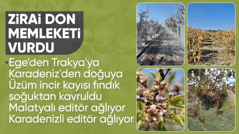 turkiye-tarihin-en-buyuk-zirai-don-sureclerinden-birinden-geciyor-2dGLk14x.jpg