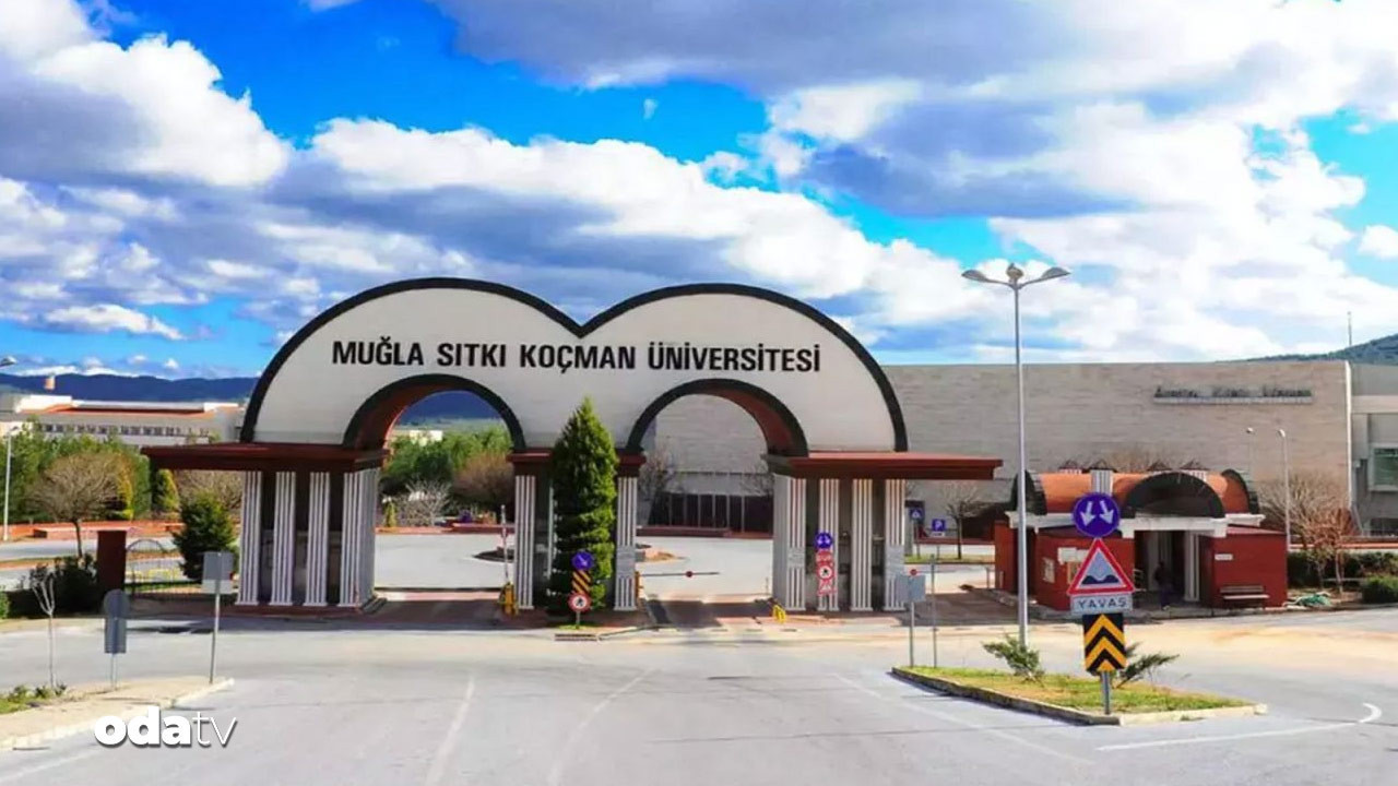 akademide sahte yayin mugla universitesinde intihal skandali tsi4icHS
