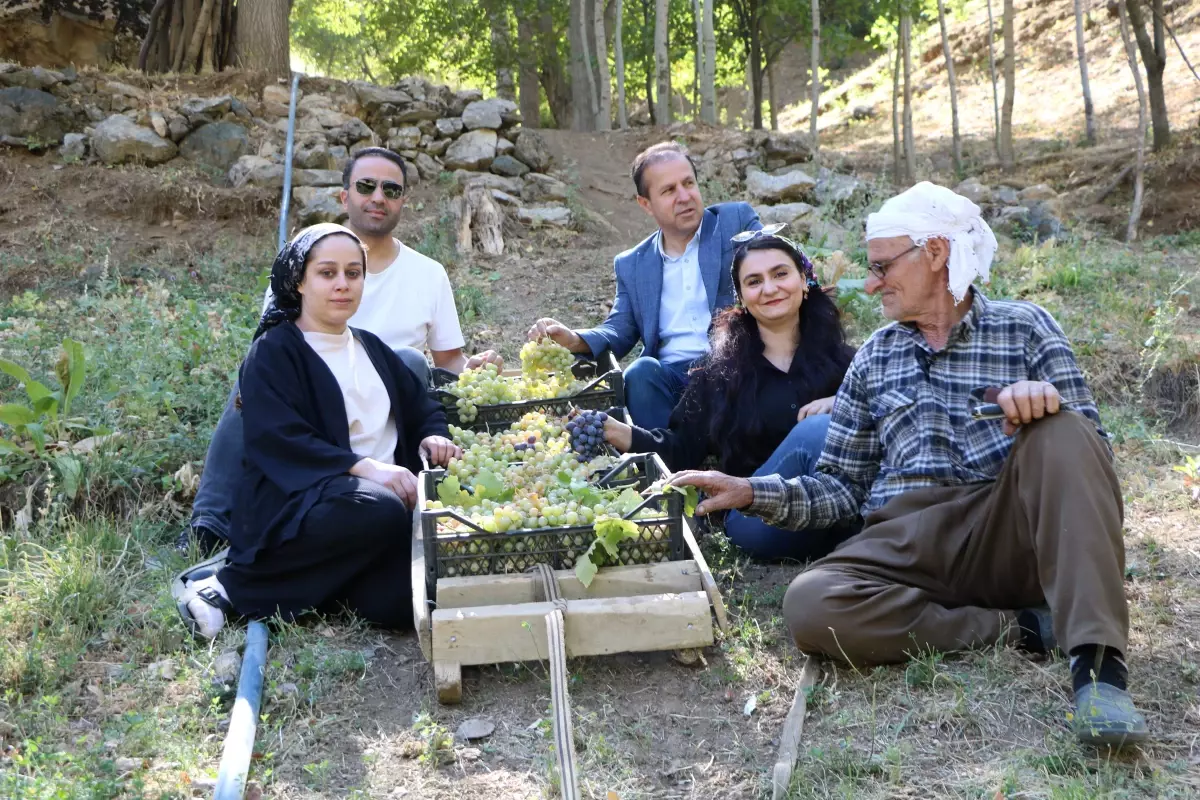 80 yasinda uzum hasadi QmYhg4sd