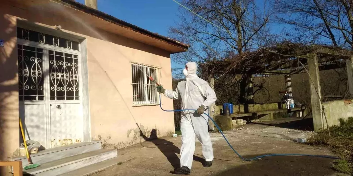 duzcede findik icin kokarca mucadelesi QK6mEteF.jpg